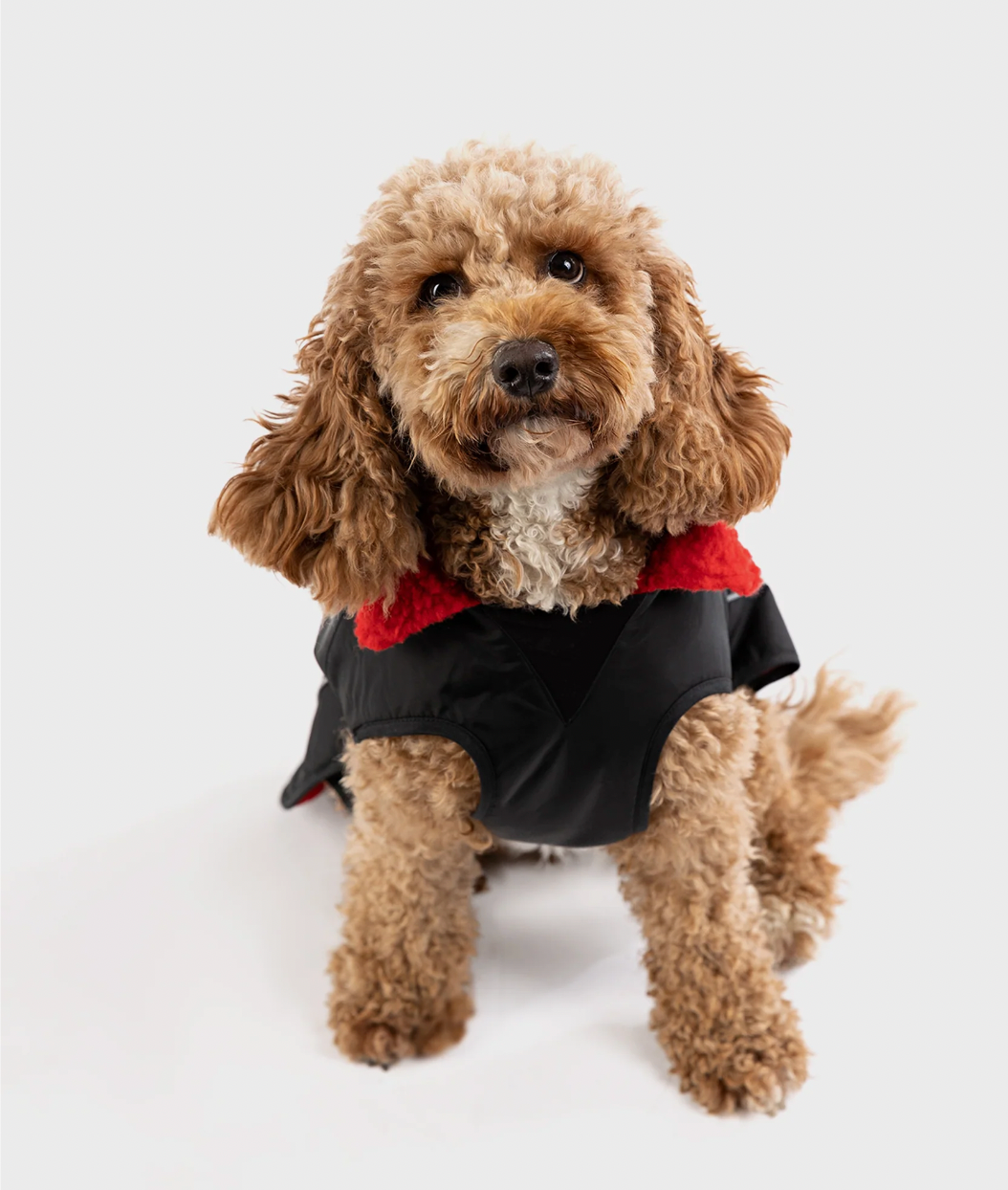 DRYROBE DOG BLACK/RED