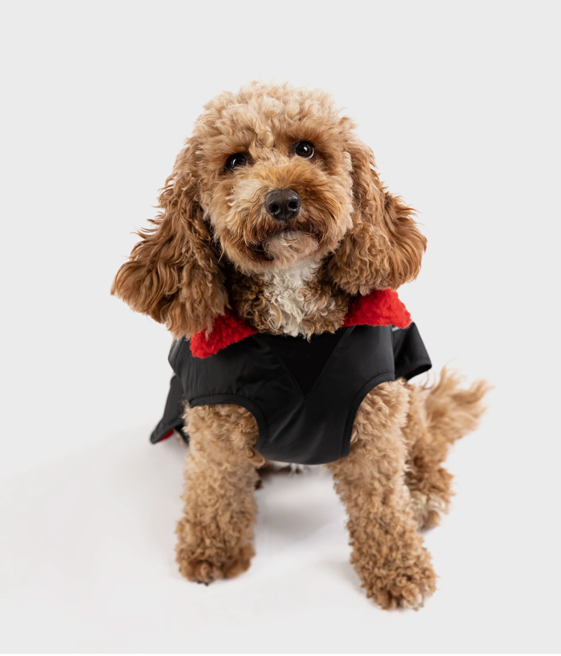 DRYROBE DOG BLACK/RED