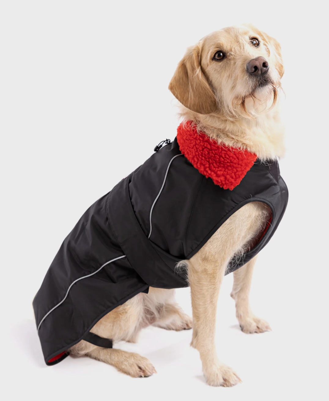 DRYROBE DOG BLACK/RED