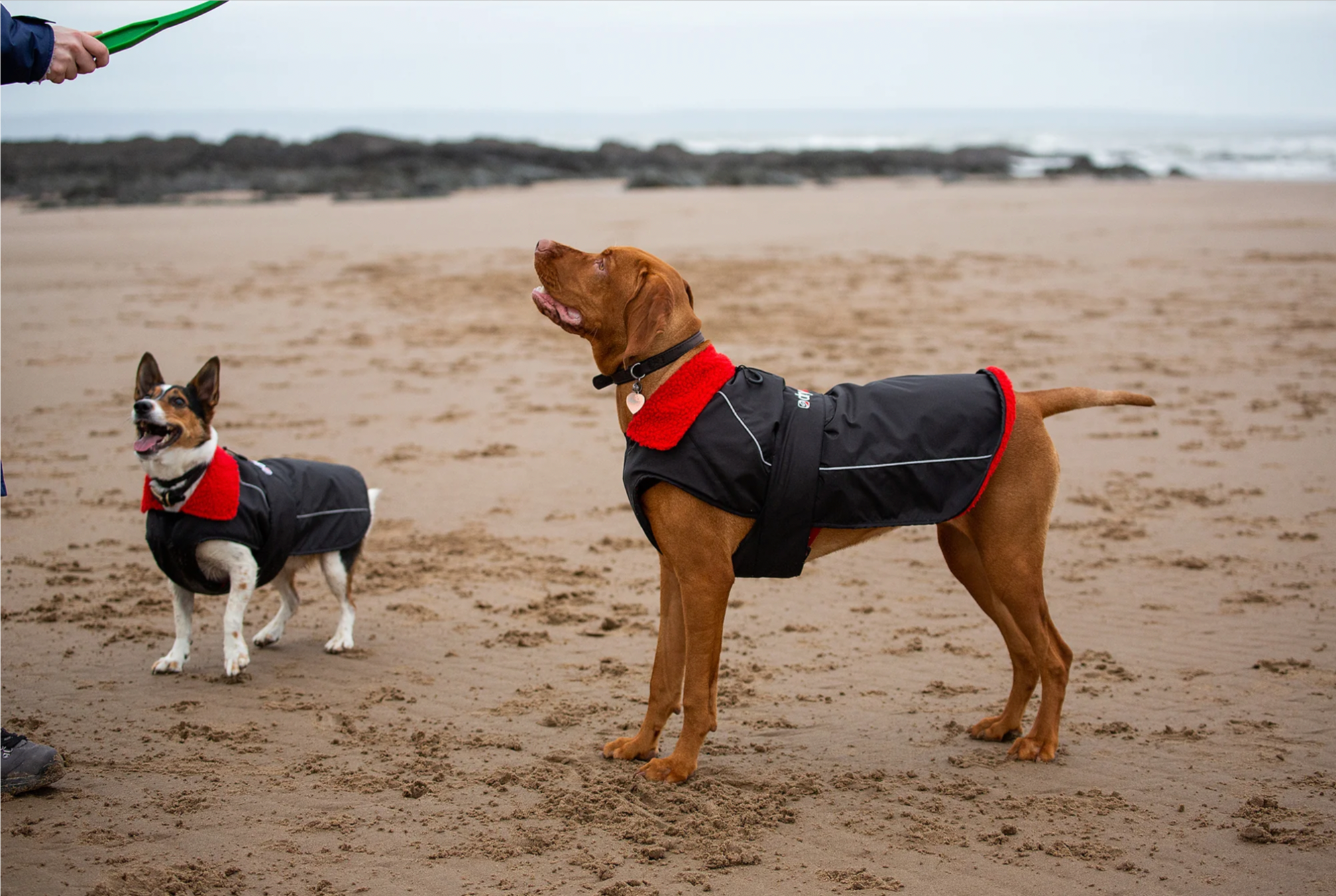 DRYROBE DOG BLACK/RED