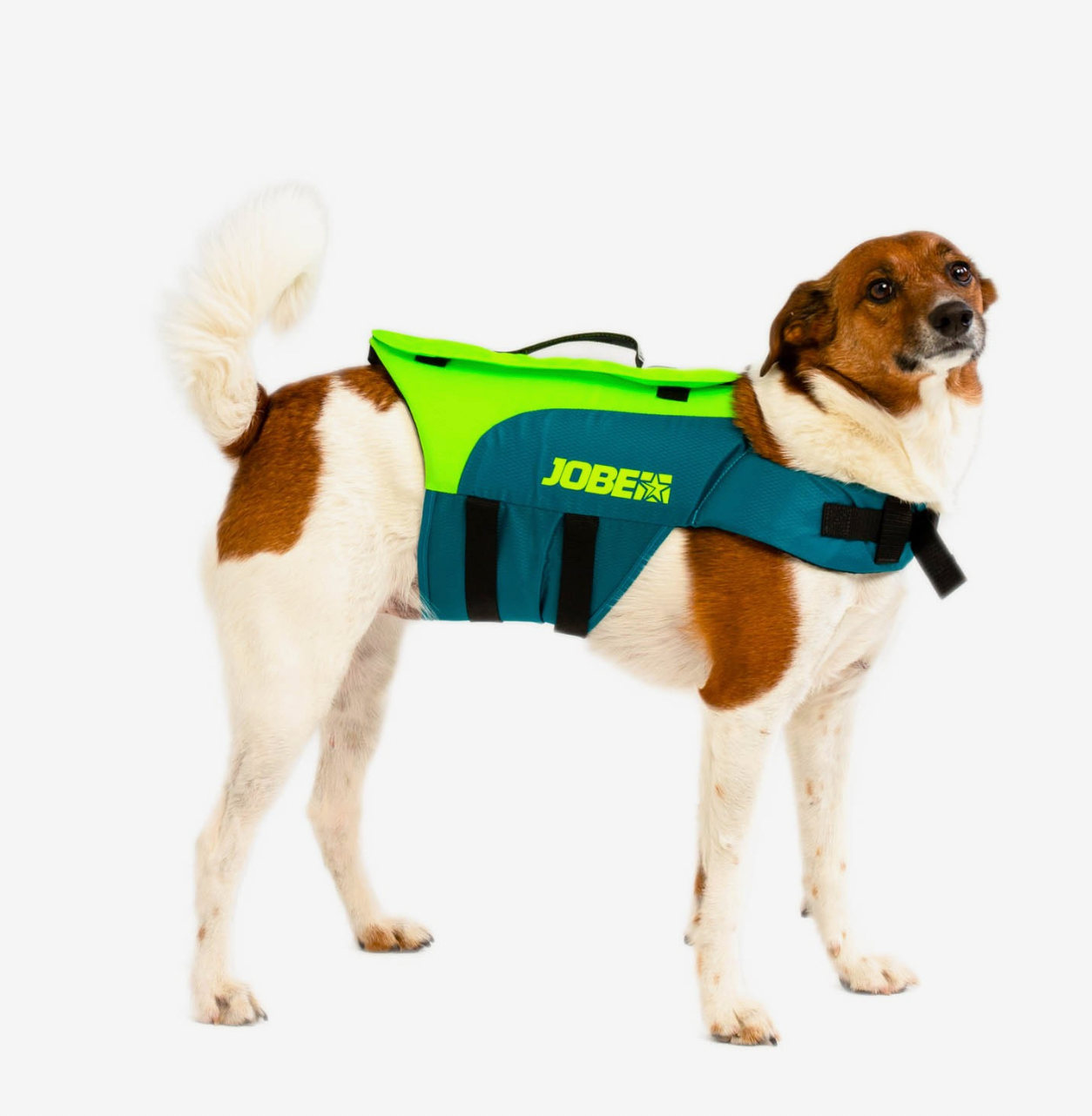 Jobe Pet Vest Lime Teal