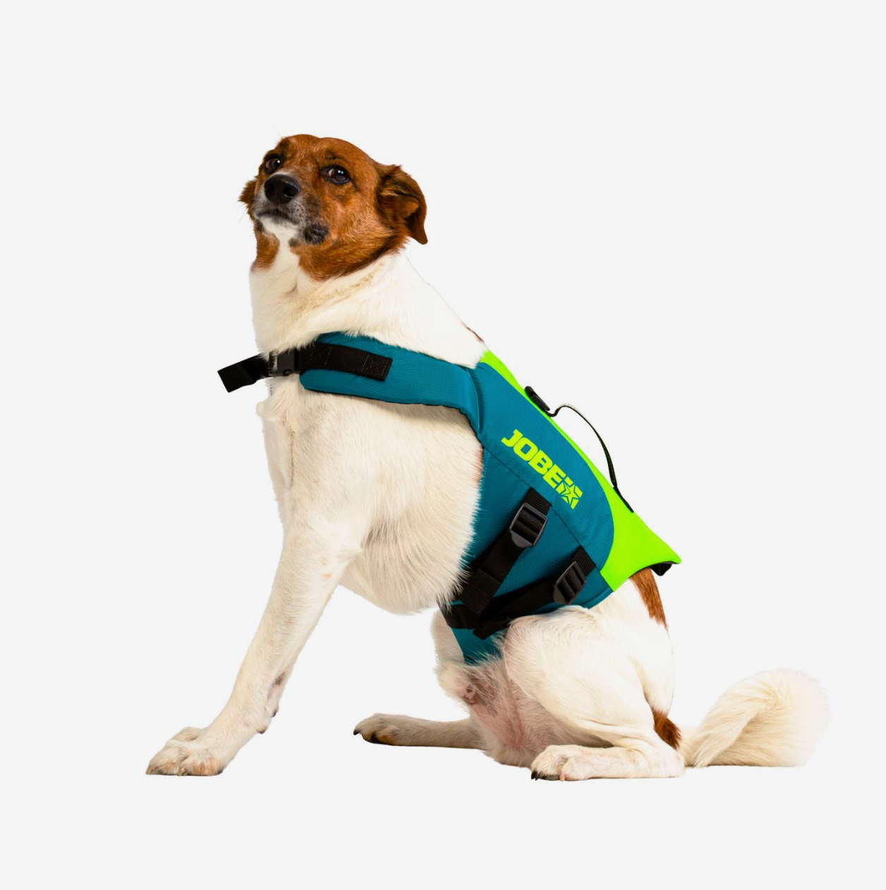 Jobe Pet Vest Lime Teal