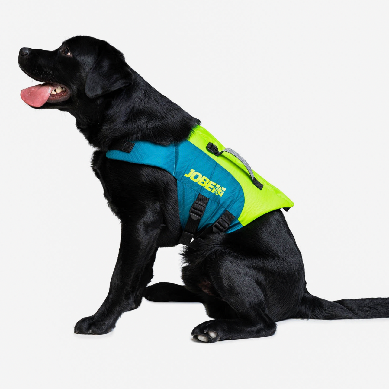 Jobe Pet Vest Lime Teal