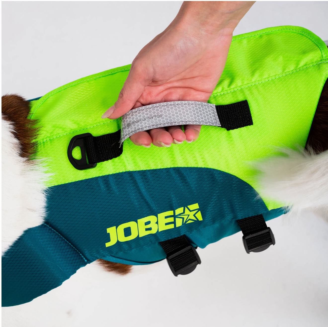 Jobe Pet Vest Lime Teal