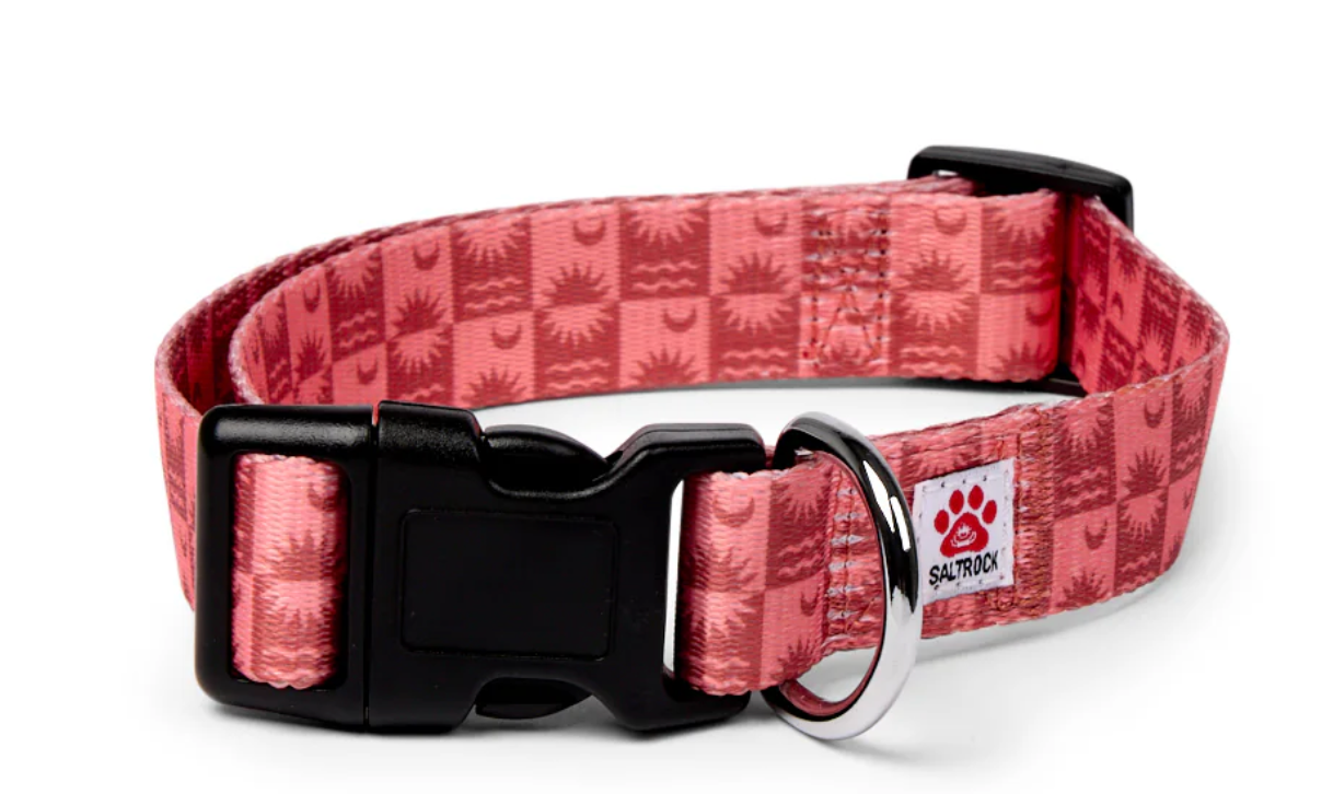 SALTROCK Equinox - Pets Collar - Orange