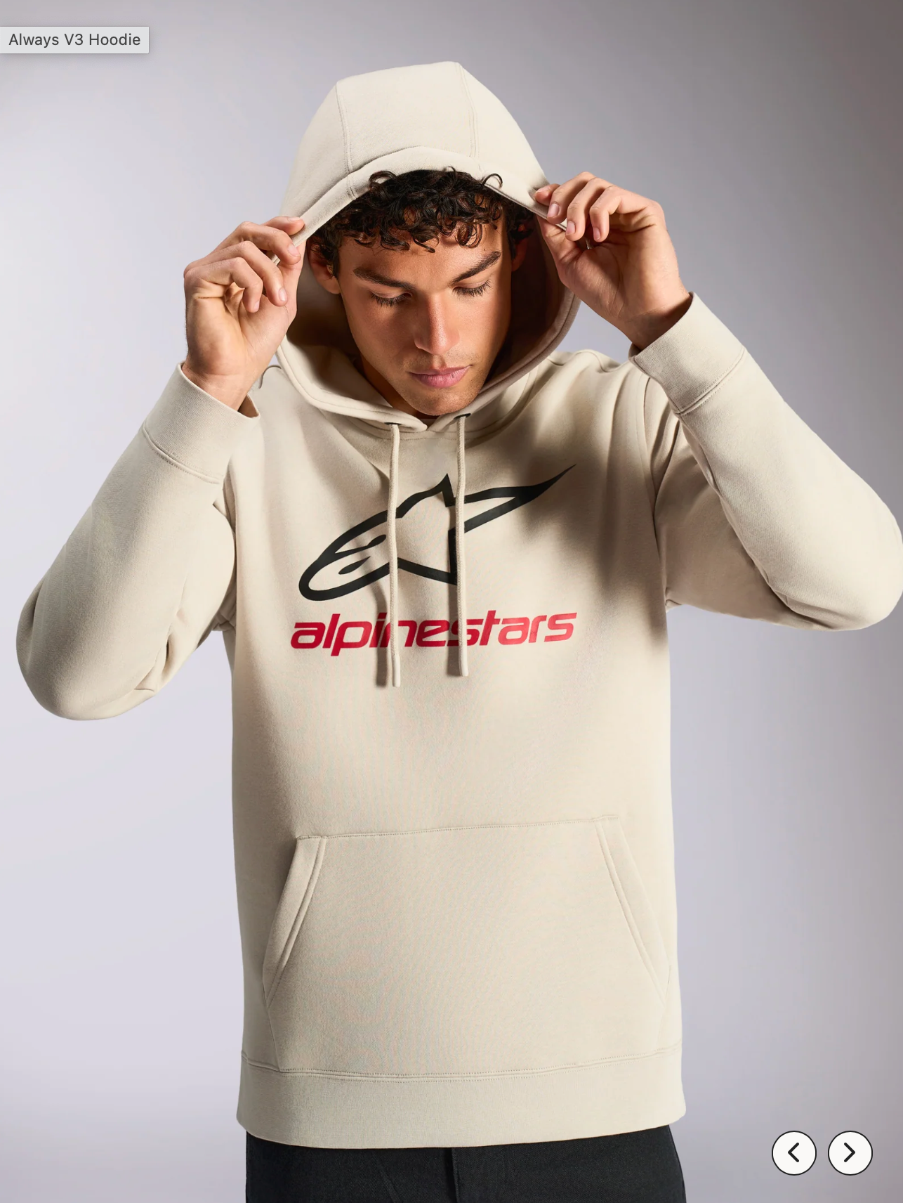 Alpinestars always hoodie