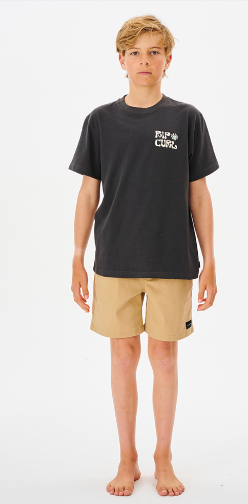Ripcurl Salt Water Culture Organic Matters Tee Boy