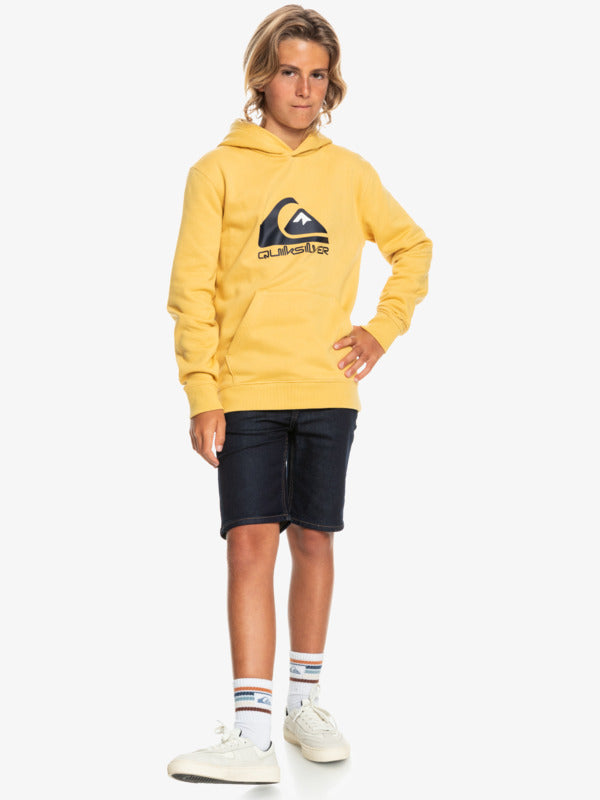 Quiksilver Big Logo - Hoodie For Boys