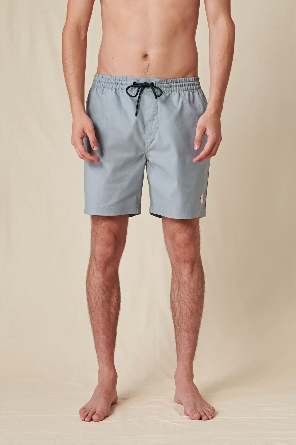 Globe Mens Clean Swell Poolshort