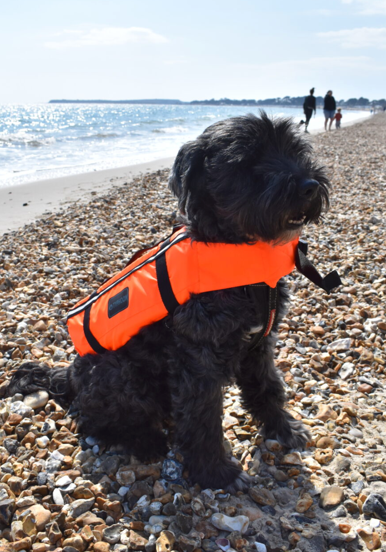 Typhoon Dog Buoyancy Aid - Orange/Black