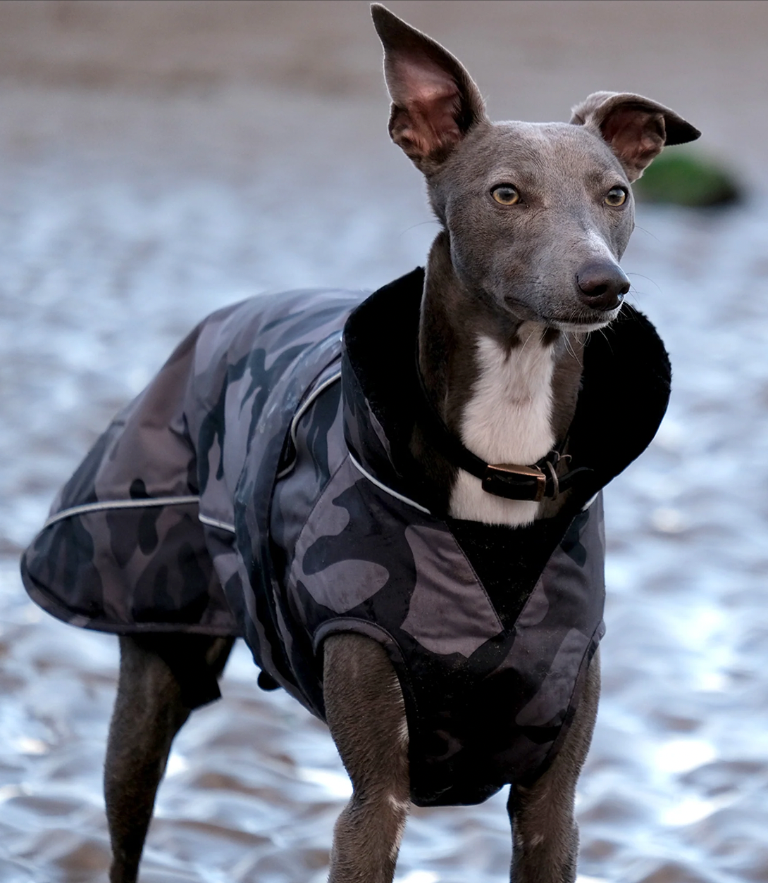 Dryrobe Dog Black/Camo