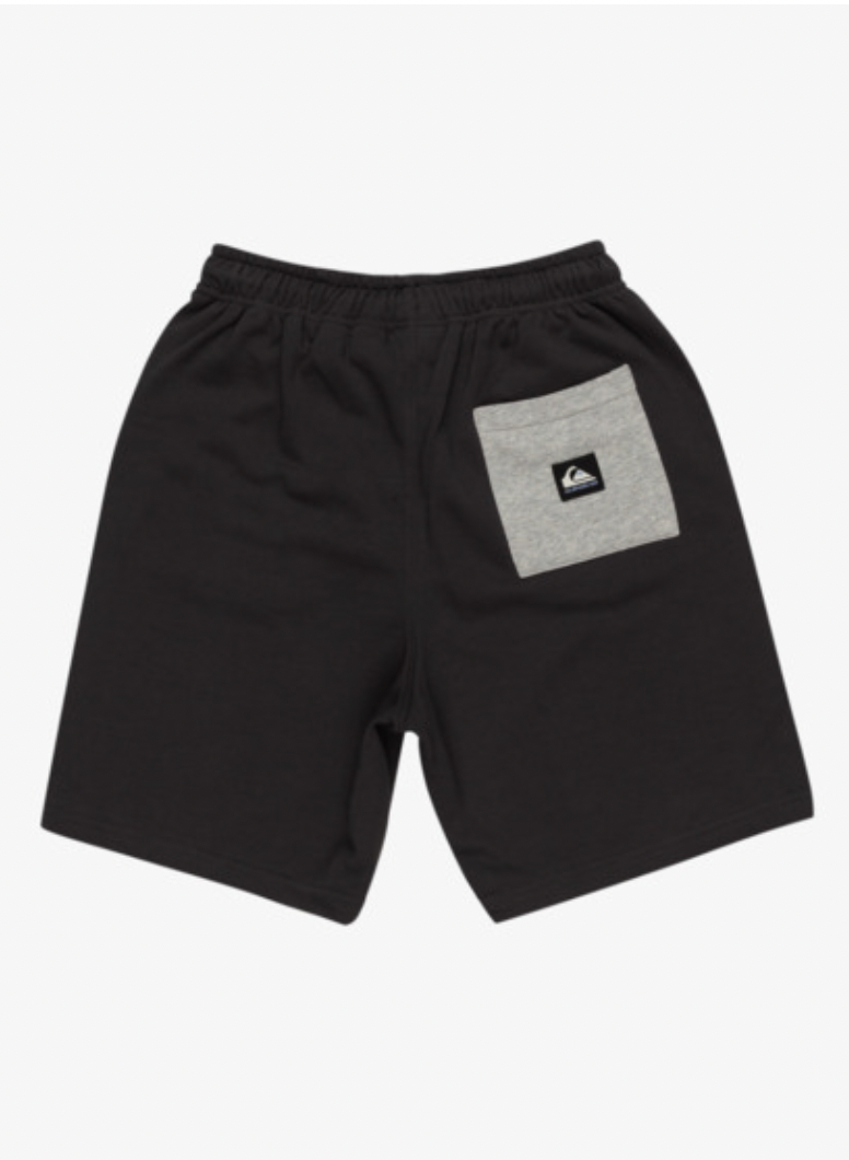 QUIKSILVER Take Us Back - Sweat Shorts for Boys 8-16