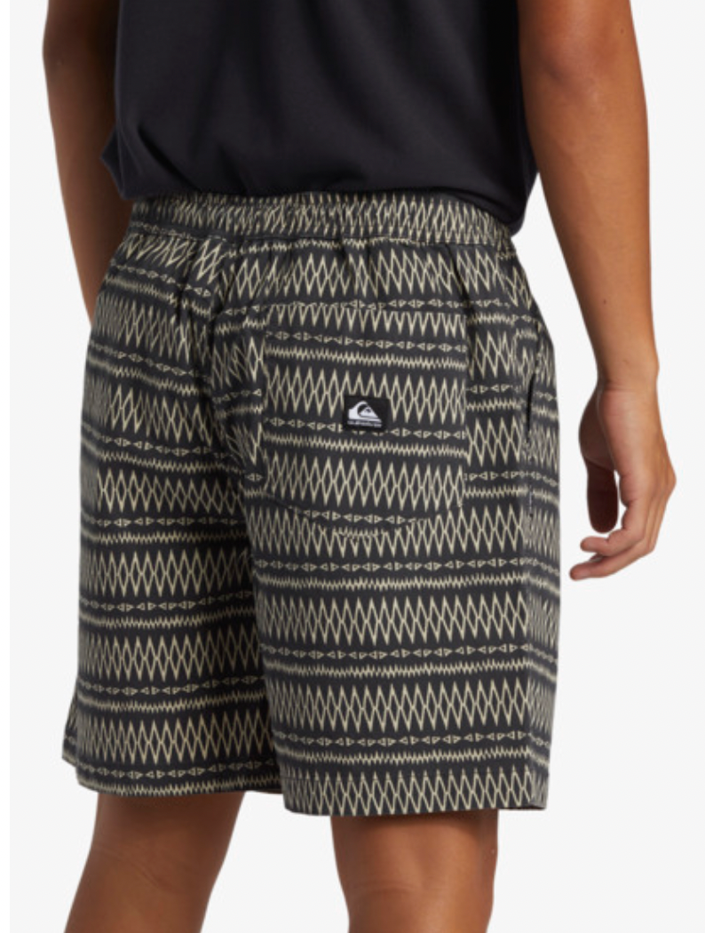 Quiksilver Taxer - Walk Shorts for Men