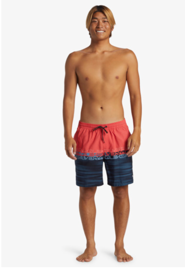 QUIKSILVER Everyday Wordblock Volley 17" - Swim Shorts for Men