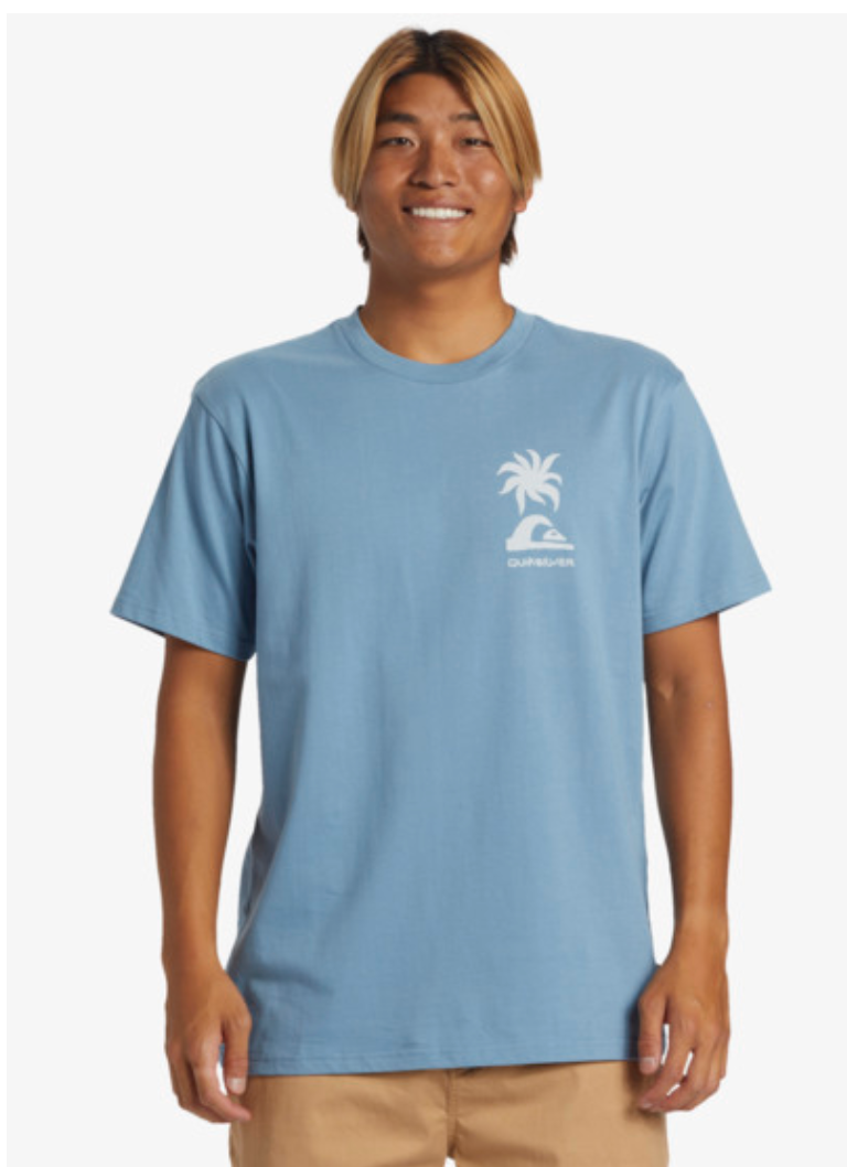 Quiksilver Tropical Breeze - T-Shirt For Men