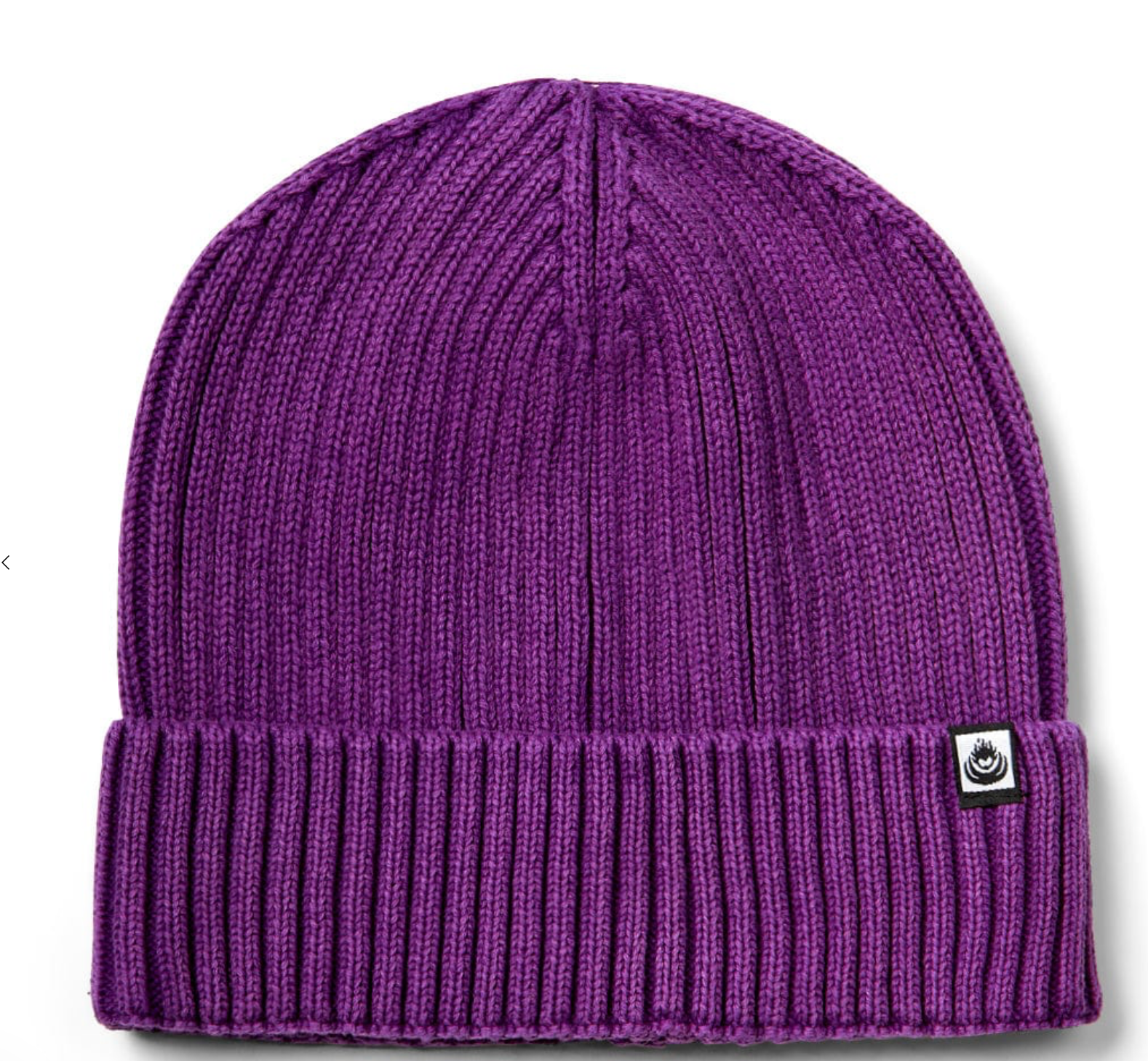 SALTROCK Acid Wash Maine - Beanie - Purple