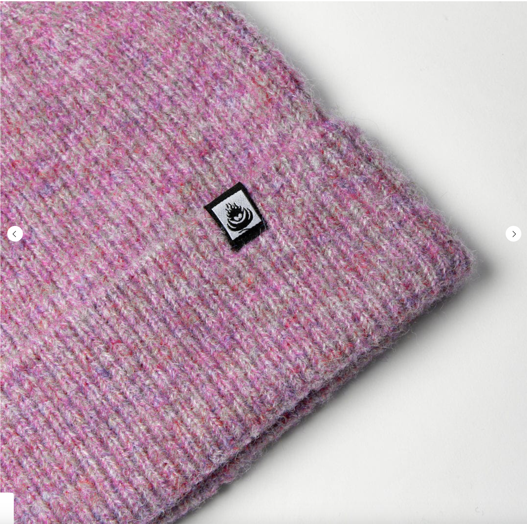 SALTROCK Brushed Maine - Recycled Beanie - Purple