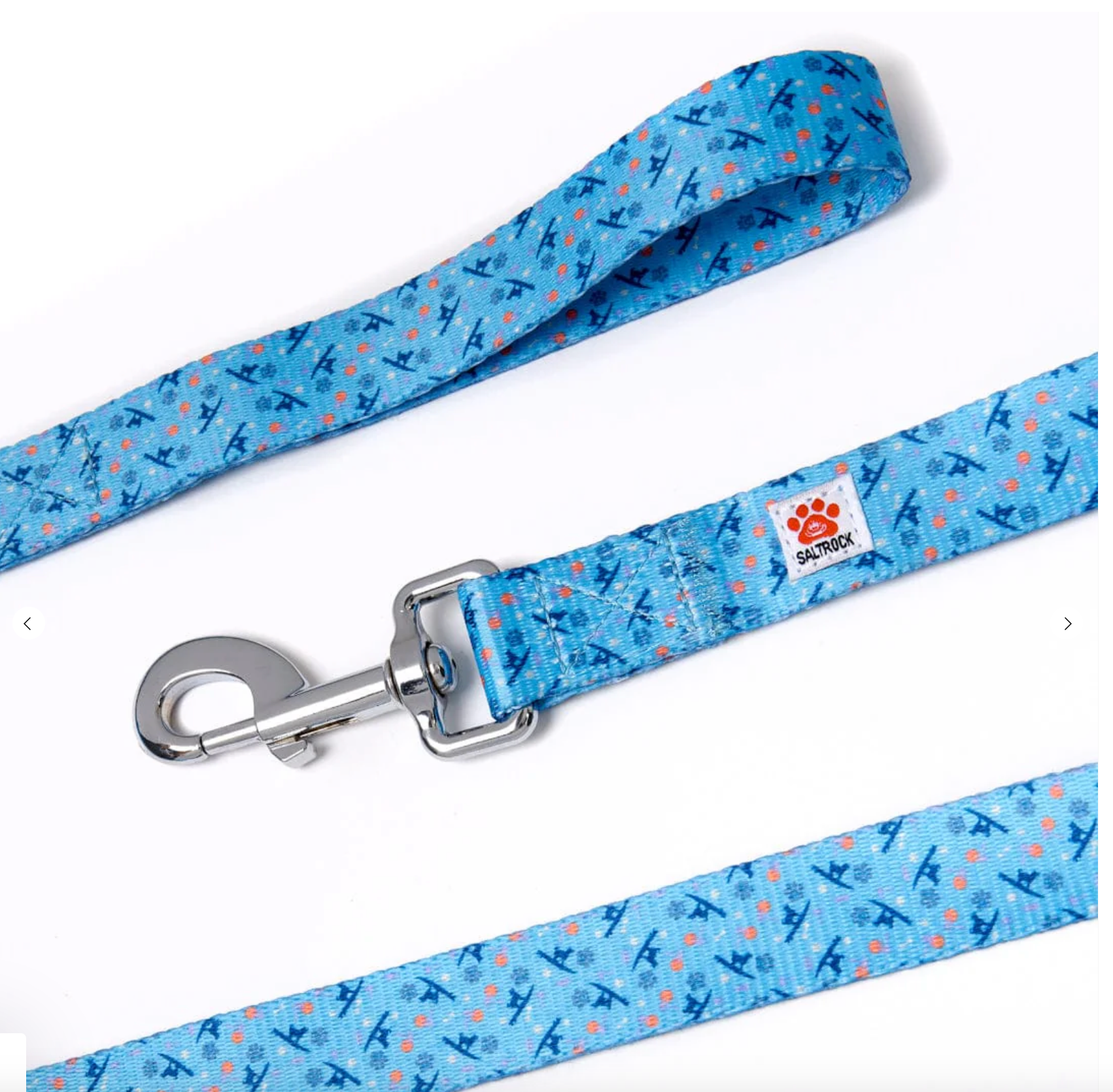 Salyrock Paw Print - Dog Lead - Blue