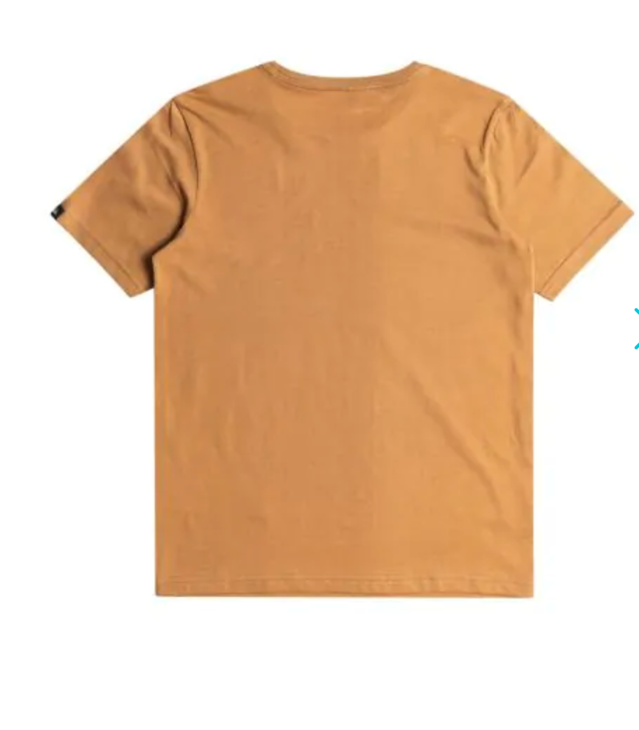 Quiksilver Boys Comp Logo Tee ===SALE===