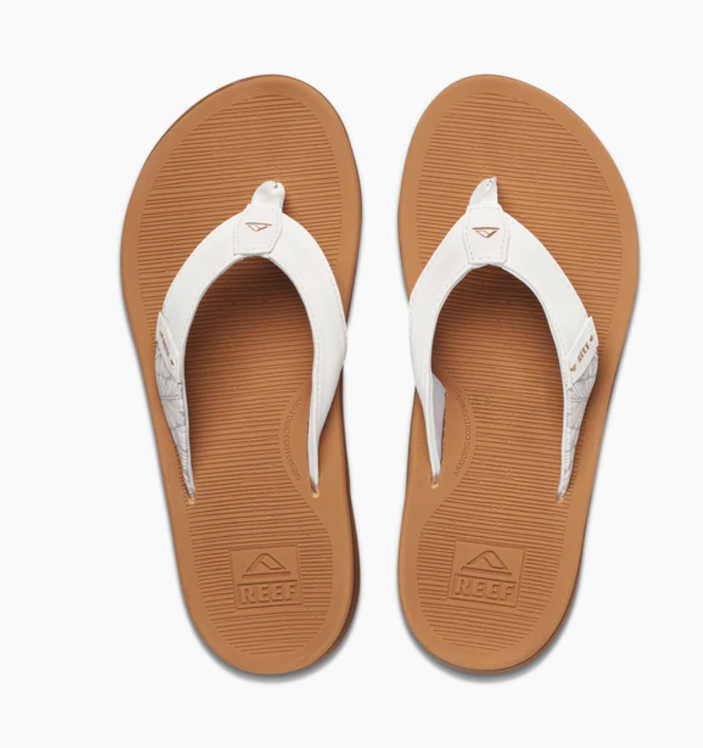 Reef santa ana - cloud