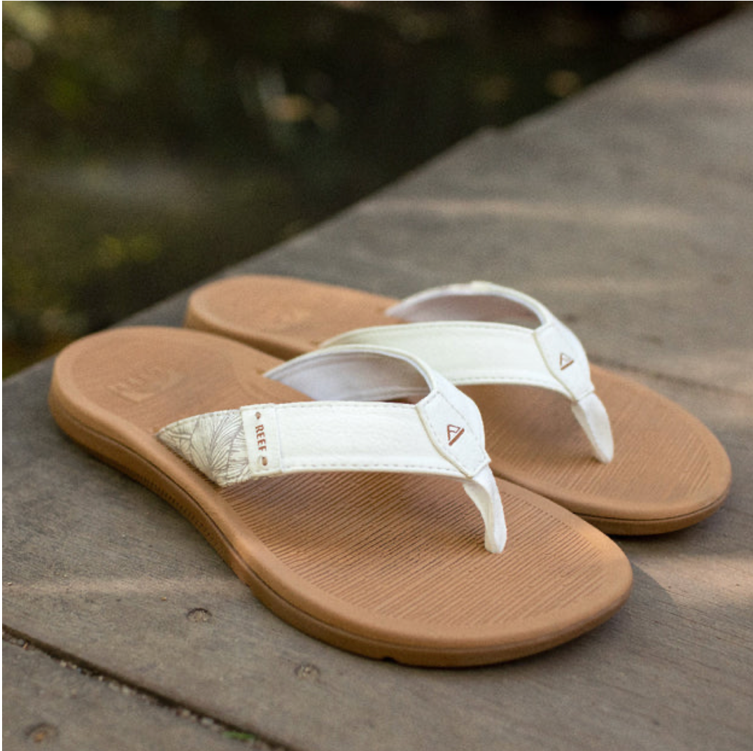 Reef santa ana - cloud