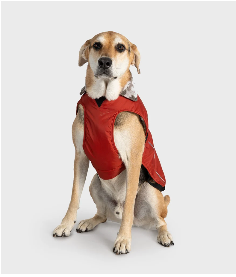 DRYROBE Burnt Orange Dog Coat