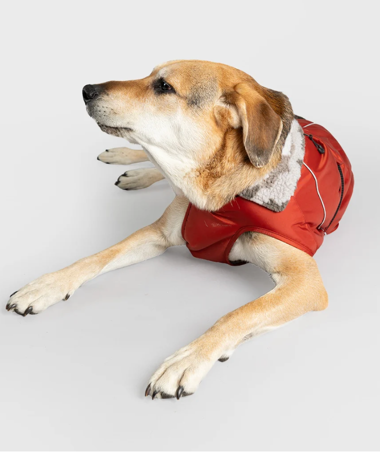 DRYROBE Burnt Orange Dog Coat