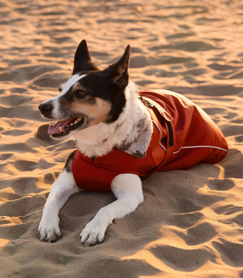DRYROBE Burnt Orange Dog Coat