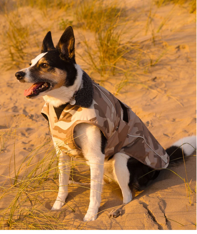 DRYROBE Sand Camo Dog Coat