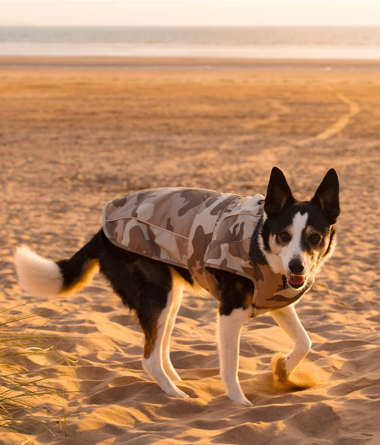 DRYROBE Sand Camo Dog Coat