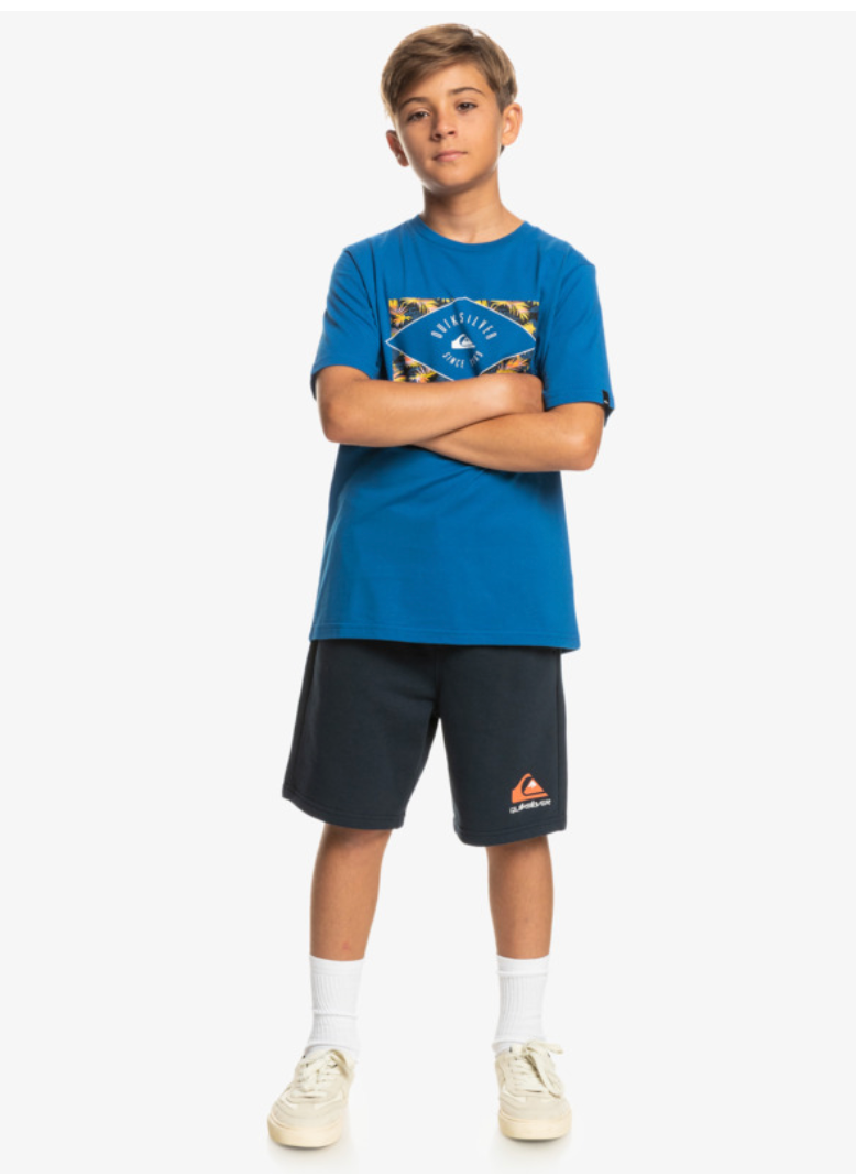 QUIKSILVER Easy Day - Sweat shorts for Boys 8-16