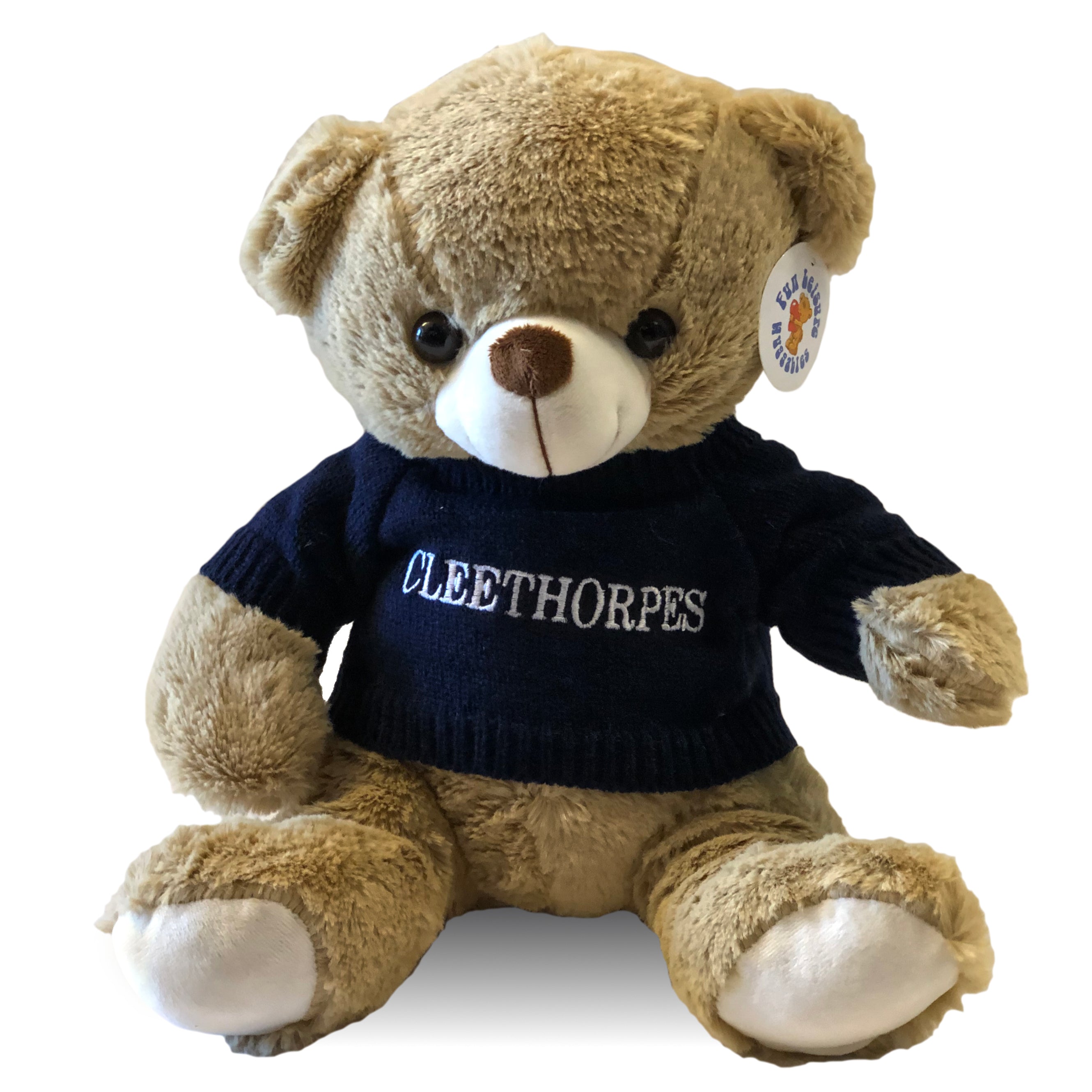 Cleethorpes Mascot Teddy Bear