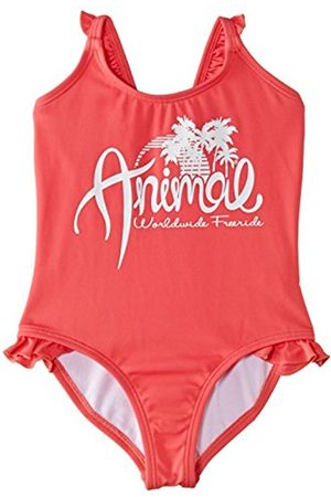 Animal Girls Paradise Swimsuit